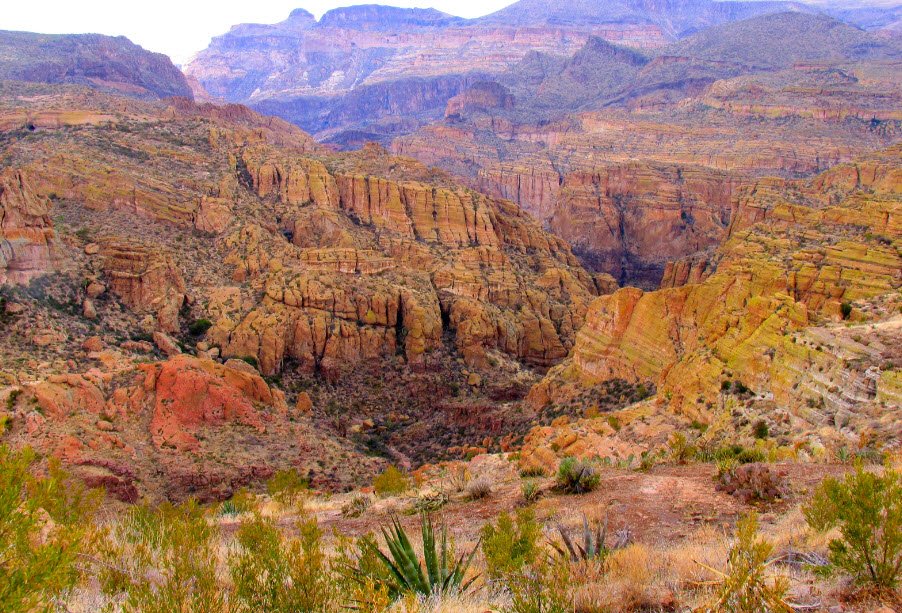 Tonto National Forest, Arizona, USA